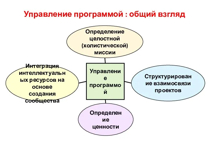 Управление программой : общий взгляд Определение целостной (холистической) миссии Интеграция