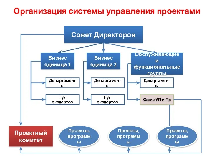 Организация системы управления проектами Совет Директоров Бизнес единица 1 Бизнес