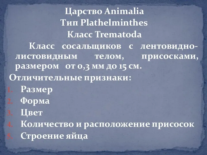 Царство Animalia Тип Plathelminthes Класс Trematoda Класс сосальщиков с лентовидно-листовидным