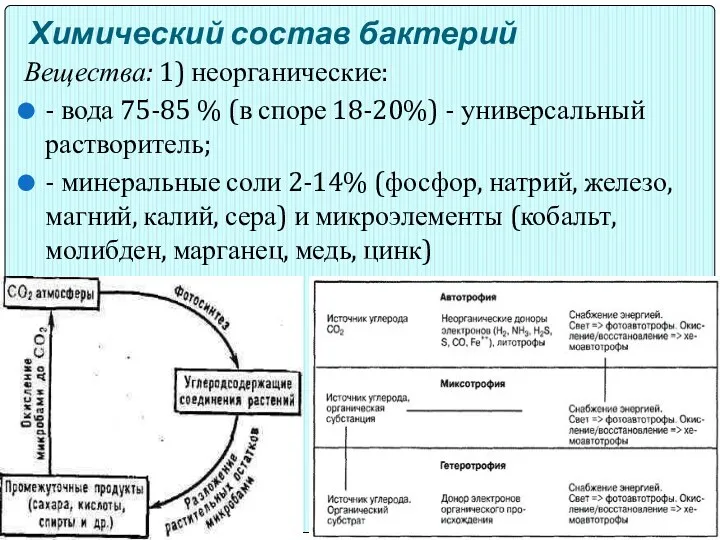 Химический состав бактерий Вещества: 1) неорганические: - вода 75-85 %