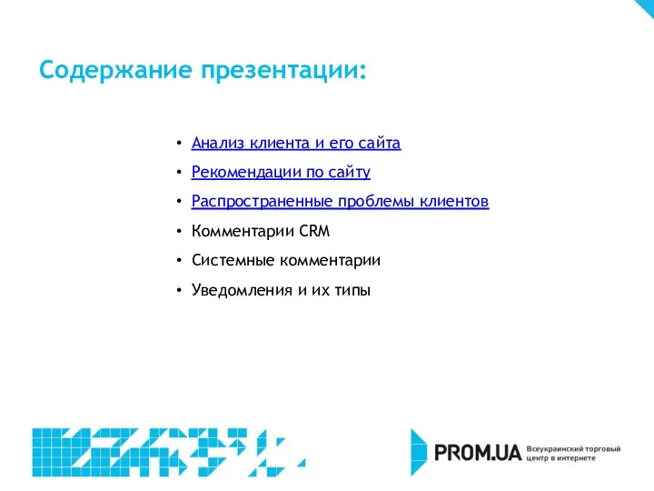 Анализ клиента и его сайта Рекомендации по сайту Распространенные проблемы клиентов Комментарии CRM