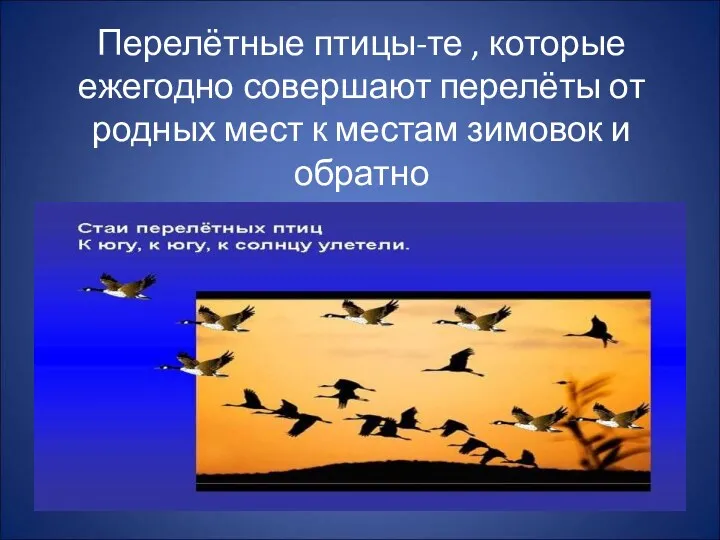 Перелётные птицы-те , которые ежегодно совершают перелёты от родных мест к местам зимовок и обратно