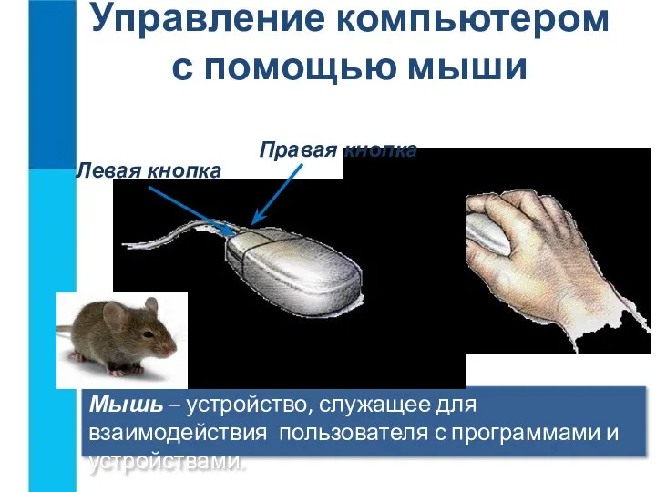 Управление компьютером с помощью мыши Мышь – устройство, служащее для