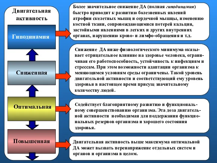 Оптимальная Сниженная Гиподинамия Повышенная Снижение ДА ниже физиологического минимума оказы-вает