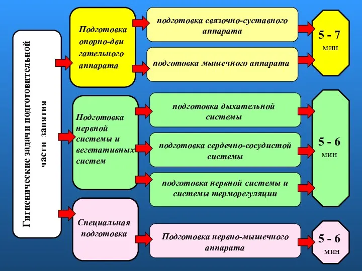 Гигиенические задачи подготовительной части занятия Подготовка опорно-дви гательного аппарата подготовка