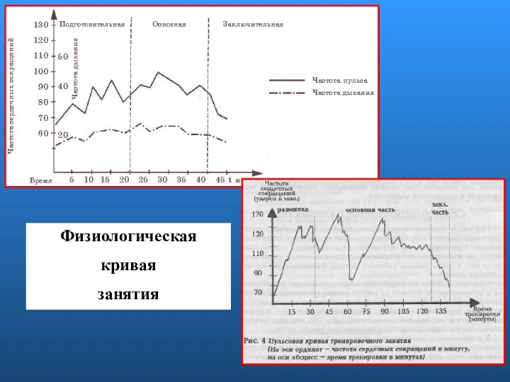 Физиологическая кривая занятия