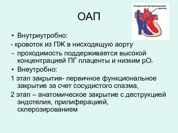 ОАП Внутриутробно: - кровоток из ПЖ в нисходящую аорту проходимость поддерживается высокой концентрацией