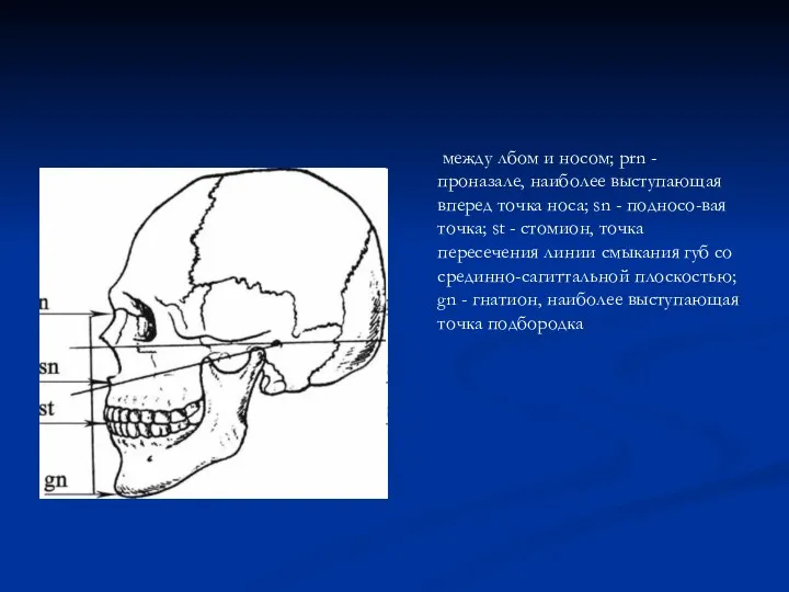 между лбом и носом; prn - проназале, наиболее выступающая вперед
