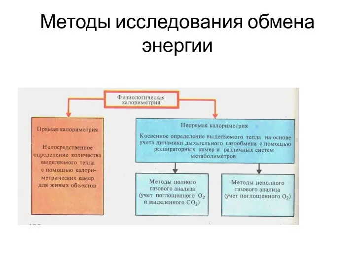 Методы исследования обмена энергии