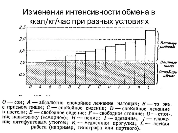 Изменения интенсивности обмена в ккал/кг/час при разных условиях