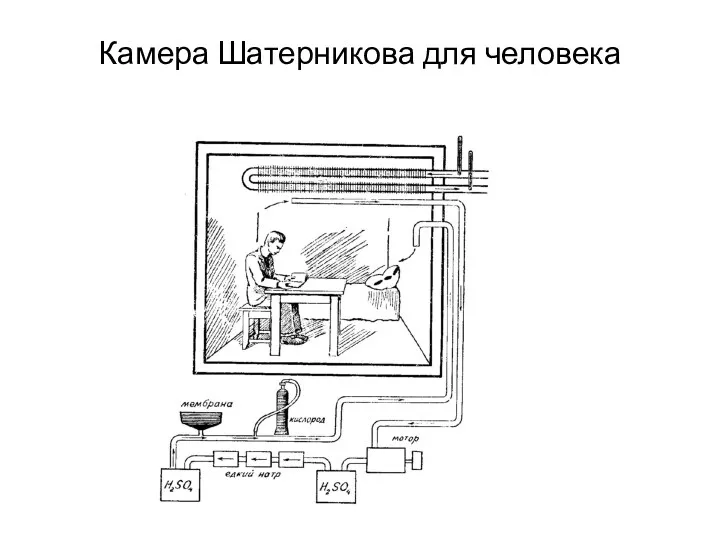 Камера Шатерникова для человека