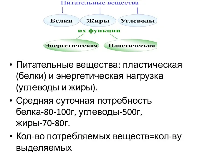 Питательные вещества: пластическая (белки) и энергетическая нагрузка (углеводы и жиры).