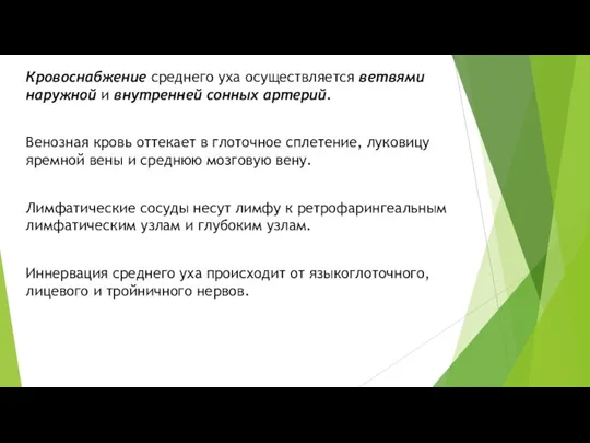 Кровоснабжение среднего уха осуществляется ветвями наружной и внутренней сонных артерий.