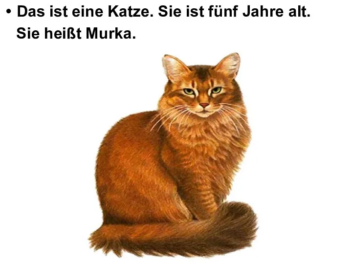 Das ist eine Katze. Sie ist fünf Jahre alt. Sie heißt Murka.