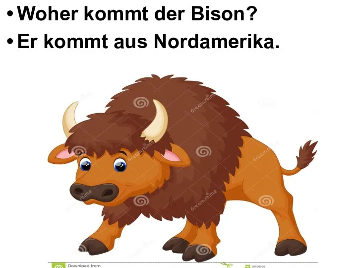 Woher kommt der Bison? Er kommt aus Nordamerika.