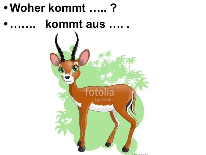 Woher kommt ….. ? ……. kommt aus …. .