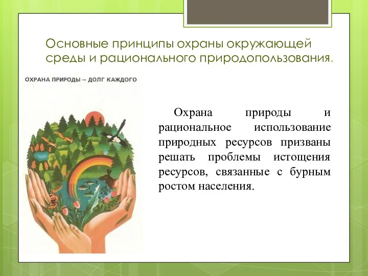 Основные принципы охраны окружающей среды и рационального природопользования. Охрана природы