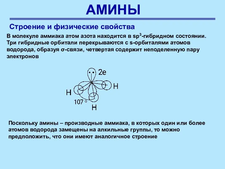 АМИНЫ Строение и физические свойства В молекуле аммиака атом азота