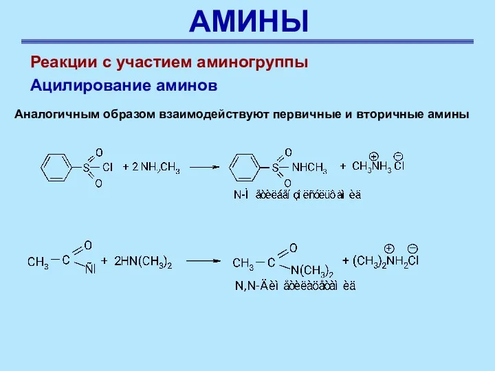 АМИНЫ Реакции с участием аминогруппы Ацилирование аминов Аналогичным образом взаимодействуют первичные и вторичные амины