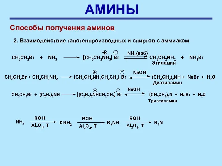 АМИНЫ Способы получения аминов 2. Взаимодействие галогенпроизводных и спиртов с аммиаком