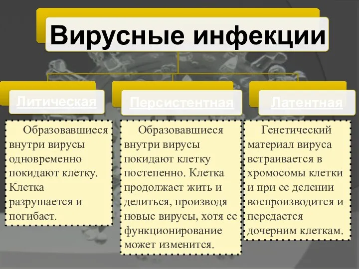 Вирусные инфекции Образовавшиеся внутри вирусы одновременно покидают клетку. Клетка разрушается