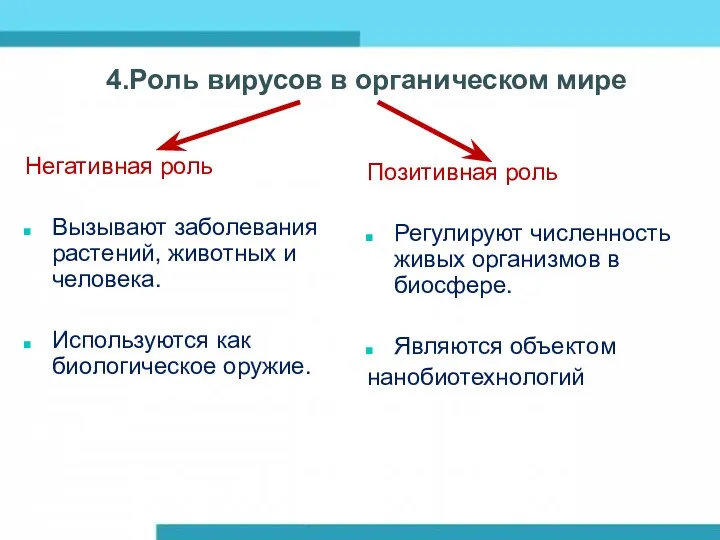 4.Роль вирусов в органическом мире Негативная роль Вызывают заболевания растений,