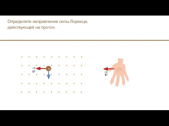 Определите направление силы Лоренца, действующей на протон. +