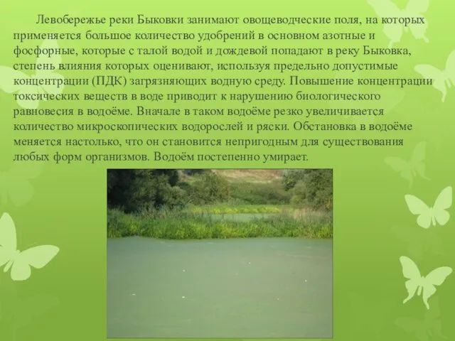 Левобережье реки Быковки занимают овощеводческие поля, на которых применяется большое