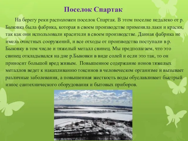 Поселок Спартак На берегу реки расположен поселок Спартак. В этом