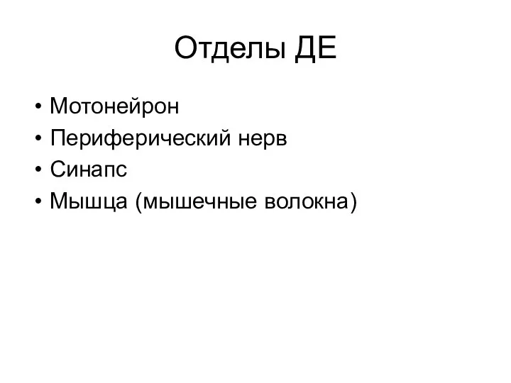 Отделы ДЕ Мотонейрон Периферический нерв Синапс Мышца (мышечные волокна)