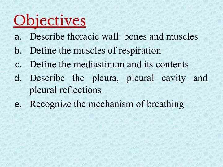 Objectives Describe thoracic wall: bones and muscles Define the muscles