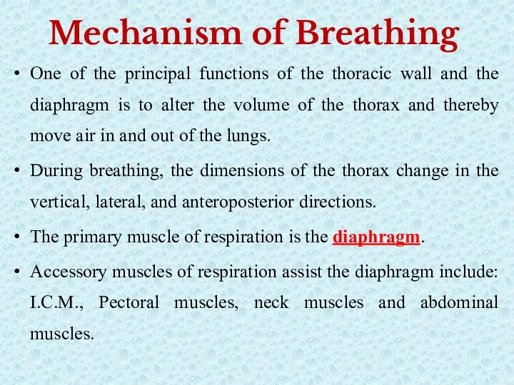 Mechanism of Breathing One of the principal functions of the