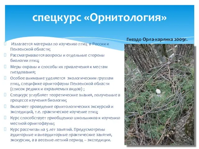Излагается материал по изучению птиц в России и Пензенской области;