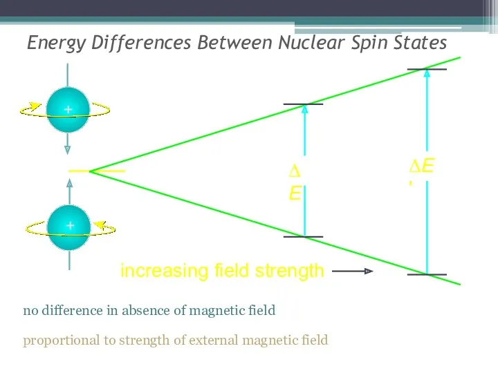 Energy Differences Between Nuclear Spin States no difference in absence