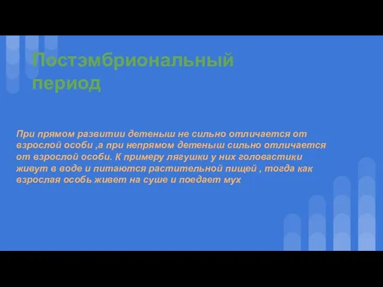 Постэмбриональный период При прямом развитии детеныш не сильно отличается от