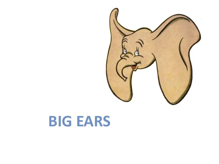BIG EARS