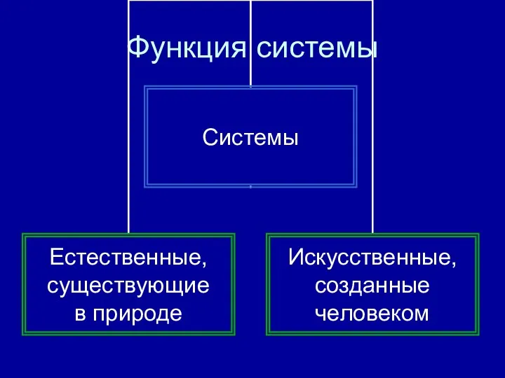 Функция системы