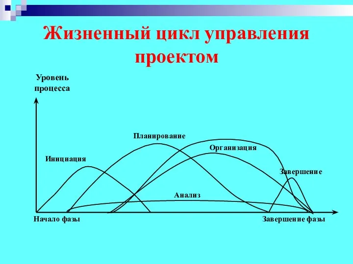 Жизненный цикл управления проектом