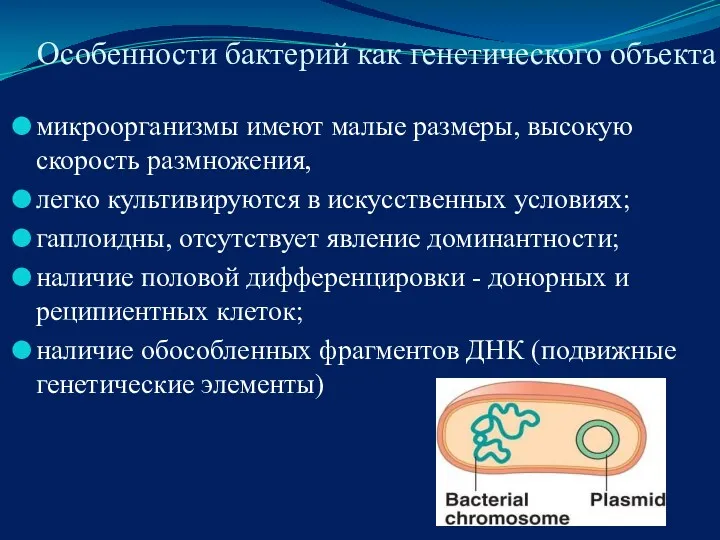 Особенности бактерий как генетического объекта микроорганизмы имеют малые размеры, высокую