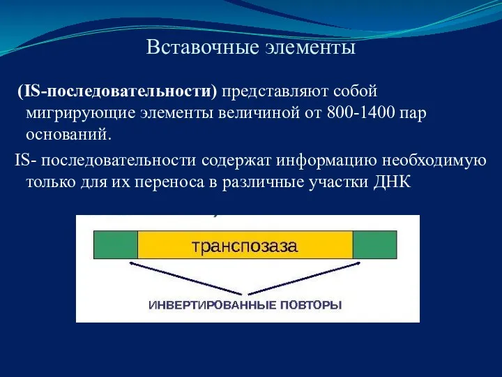 Вставочные элементы (IS-последовательности) представляют собой мигрирующие элементы величиной от 800-1400