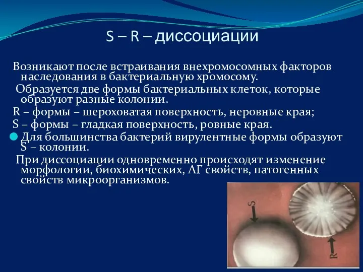 S – R – диссоциации Возникают после встраивания внехромосомных факторов