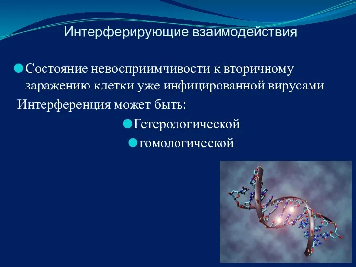 Интерферирующие взаимодействия Состояние невосприимчивости к вторичному заражению клетки уже инфицированной вирусами Интерференция может быть: Гетерологической гомологической