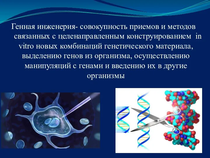 Генная инженерия- совокупность приемов и методов связанных с целенаправленным конструированием