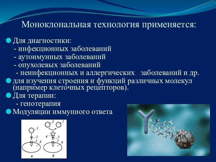 Моноклональная технология применяется: Для диагностики: - инфекционных заболеваний - аутоимунных