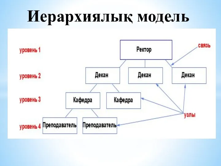 Иерархиялық модель