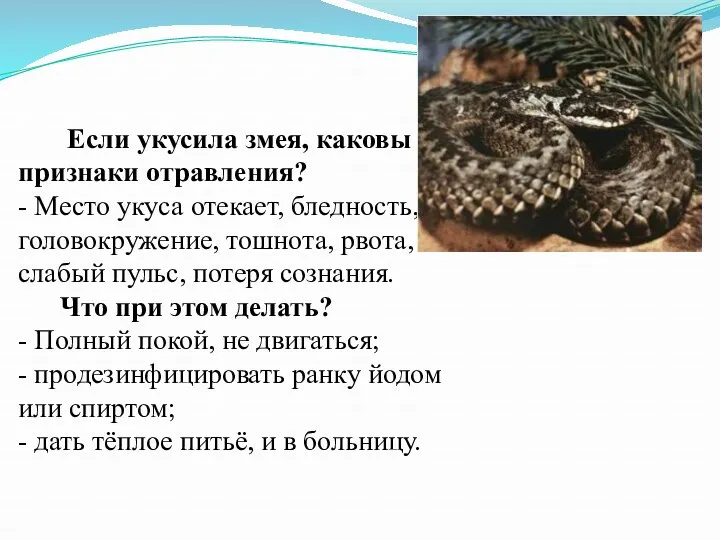 Если укусила змея, каковы признаки отравления? - Место укуса отекает,