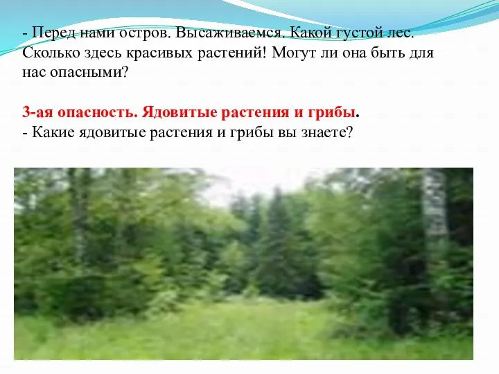 - Перед нами остров. Высаживаемся. Какой густой лес. Сколько здесь