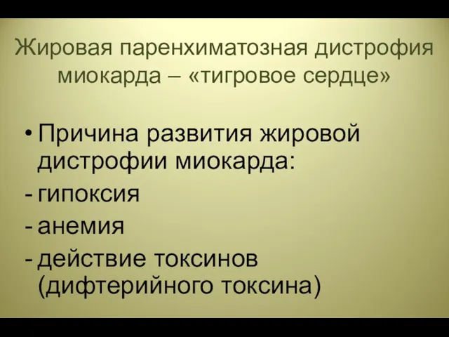 Жировая паренхиматозная дистрофия миокарда – «тигровое сердце» Причина развития жировой