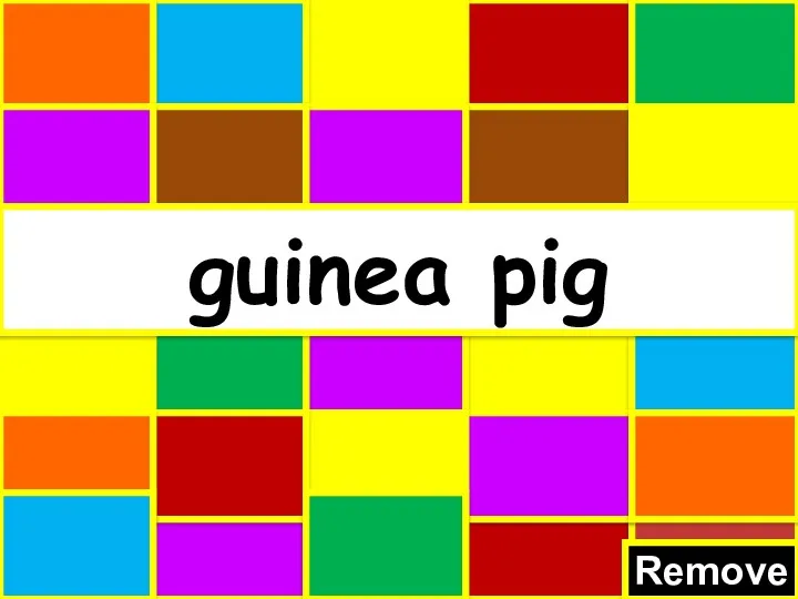 Remove guinea pig