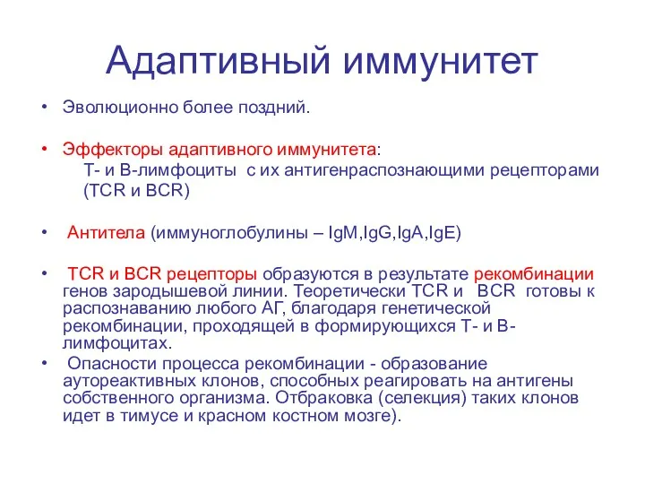 Адаптивный иммунитет Эволюционно более поздний. Эффекторы адаптивного иммунитета: Т- и